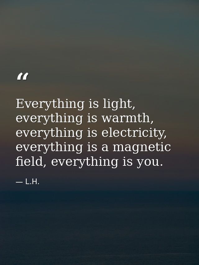 Everything is light, everything is warmth, everything is electricity, everything is a magnetic field, everything is you. — L.H.