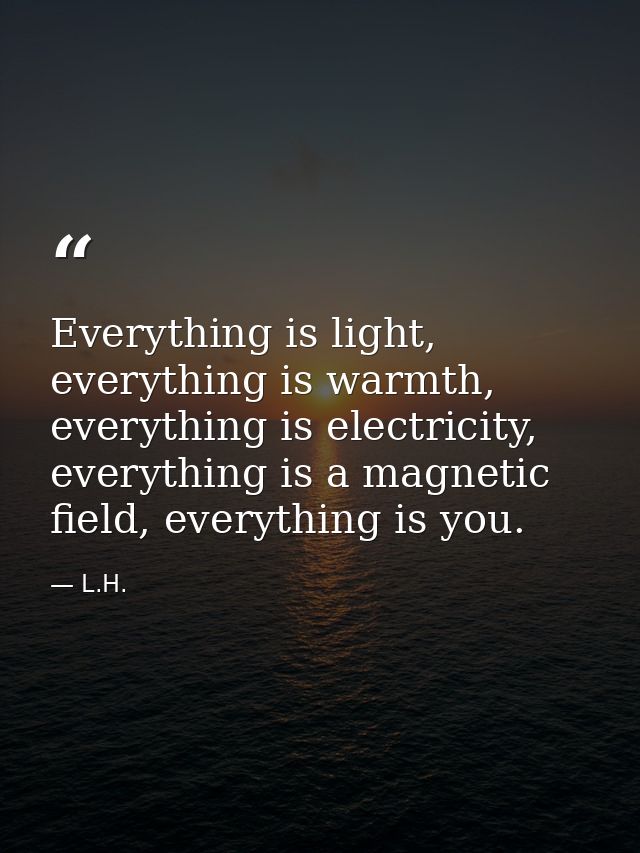 Everything is light, everything is warmth, everything is electricity, everything is a magnetic field, everything is you. — L.H.