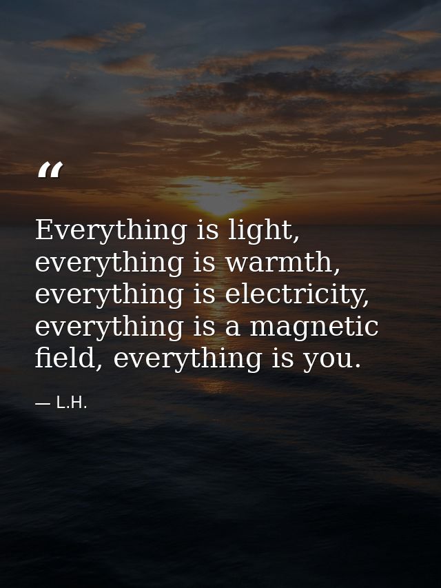 Everything is light, everything is warmth, everything is electricity, everything is a magnetic field, everything is you. — L.H.