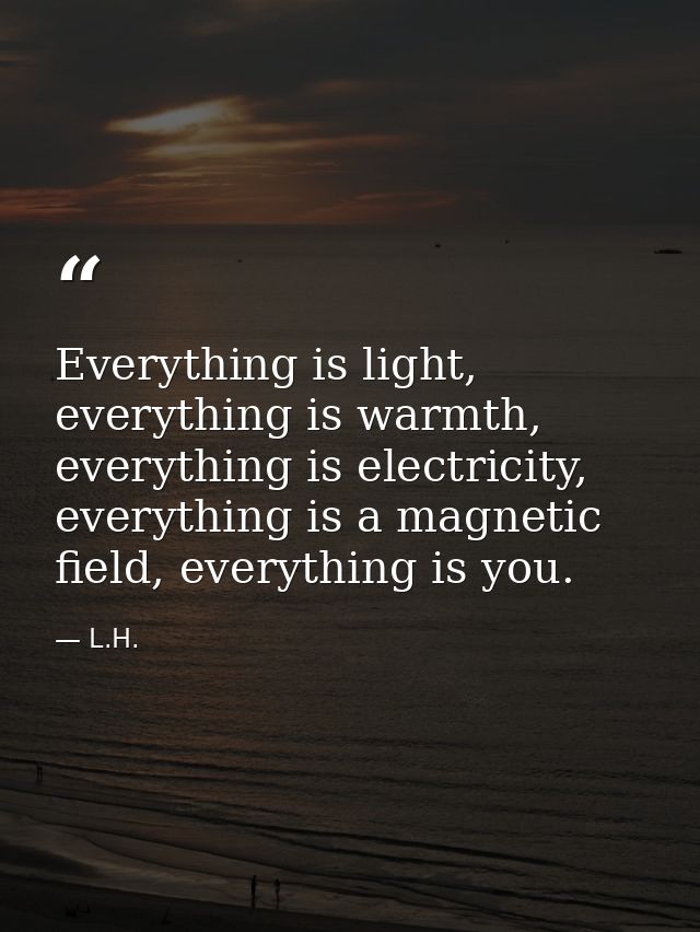 Everything is light, everything is warmth, everything is electricity, everything is a magnetic field, everything is you. — L.H.