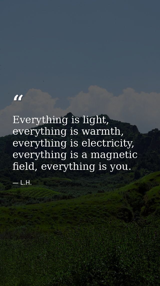 Everything is light, everything is warmth, everything is electricity, everything is a magnetic field, everything is you. — L.H.
