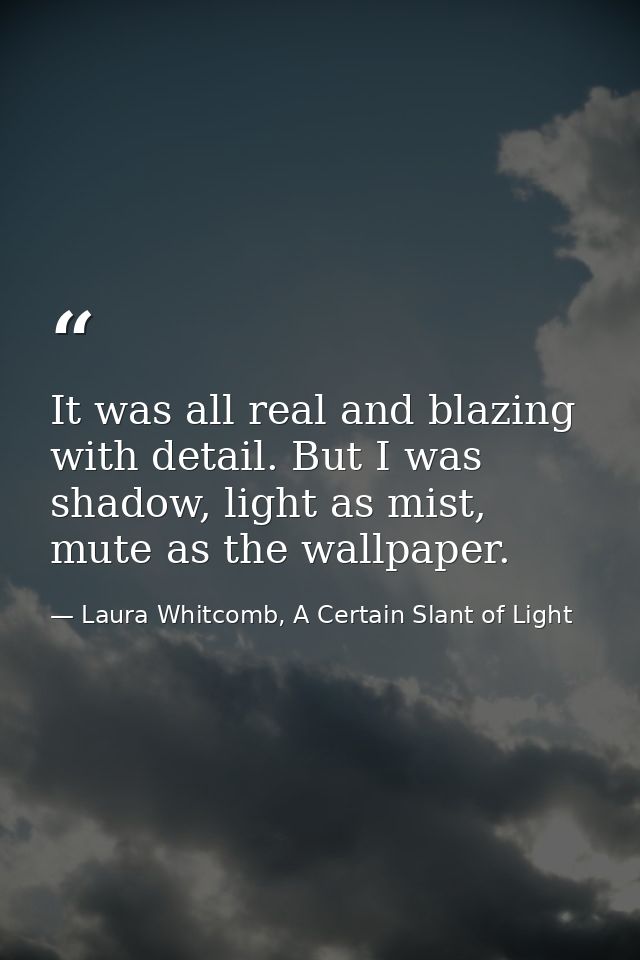 It was all real and blazing with detail. But I was shadow, light as mist, mute as the wallpaper. — Laura Whitcomb, A Certain Slant of Light