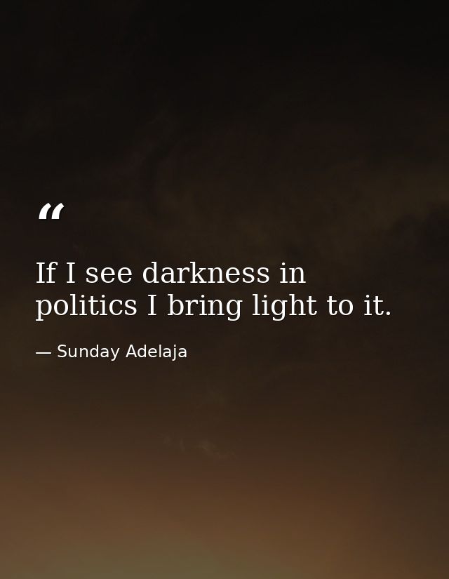If I see darkness in politics I bring light to it. — Sunday Adelaja