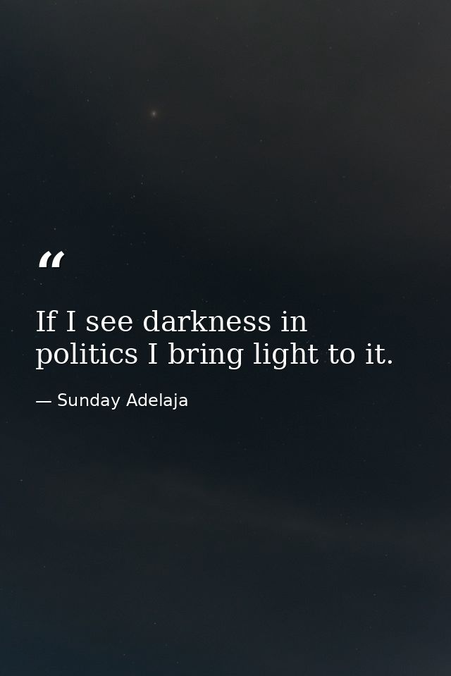 If I see darkness in politics I bring light to it. — Sunday Adelaja