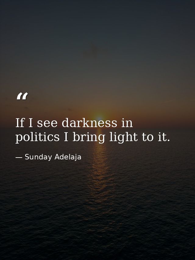 If I see darkness in politics I bring light to it. — Sunday Adelaja