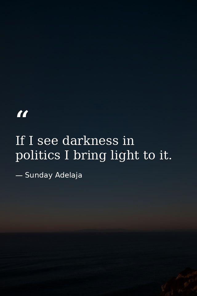 If I see darkness in politics I bring light to it. — Sunday Adelaja