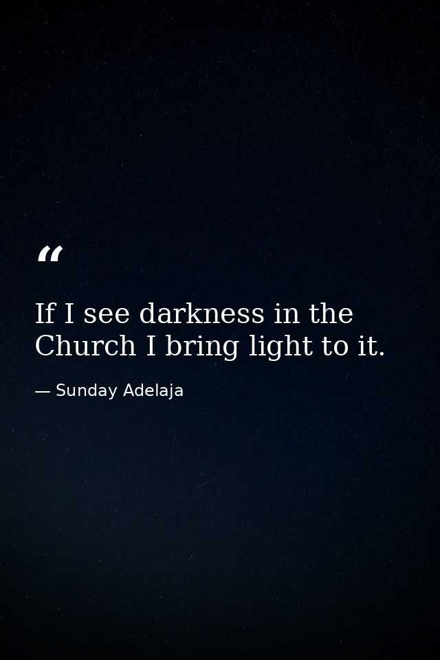 If I see darkness in the Church I bring light to it. — Sunday Adelaja