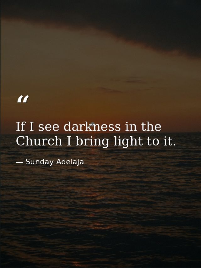 If I see darkness in the Church I bring light to it. — Sunday Adelaja