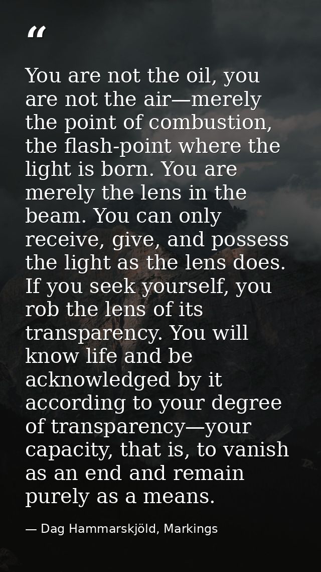 You are not the oil, you are not the air—merely the point of combustion, the flash-point where the light is born. You ar — Dag Hammarskjöld, Markings