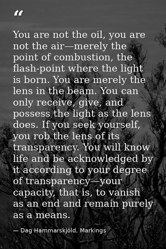You are not the oil, you are not the air—merely the point of combustion, the flash-point where the light is born. You ar — Dag Hammarskjöld, Markings