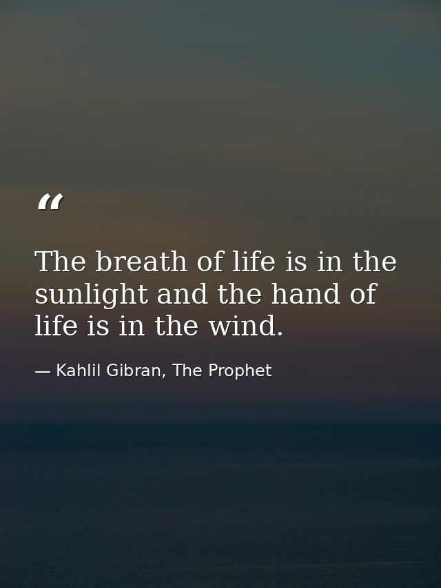 The breath of life is in the sunlight and the hand of life is in the wind. — Kahlil Gibran, The Prophet