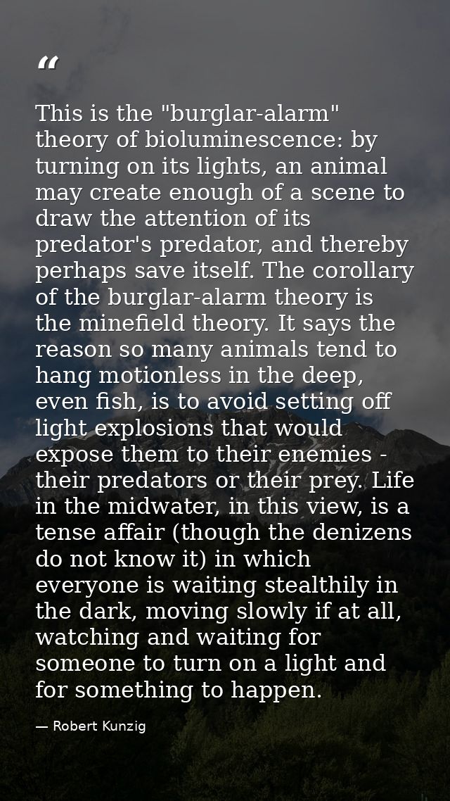 This is the "burglar-alarm" theory of bioluminescence: by turning on its lights, an animal may create enough of a scene  — Robert Kunzig