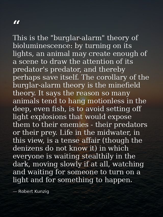 This is the "burglar-alarm" theory of bioluminescence: by turning on its lights, an animal may create enough of a scene  — Robert Kunzig