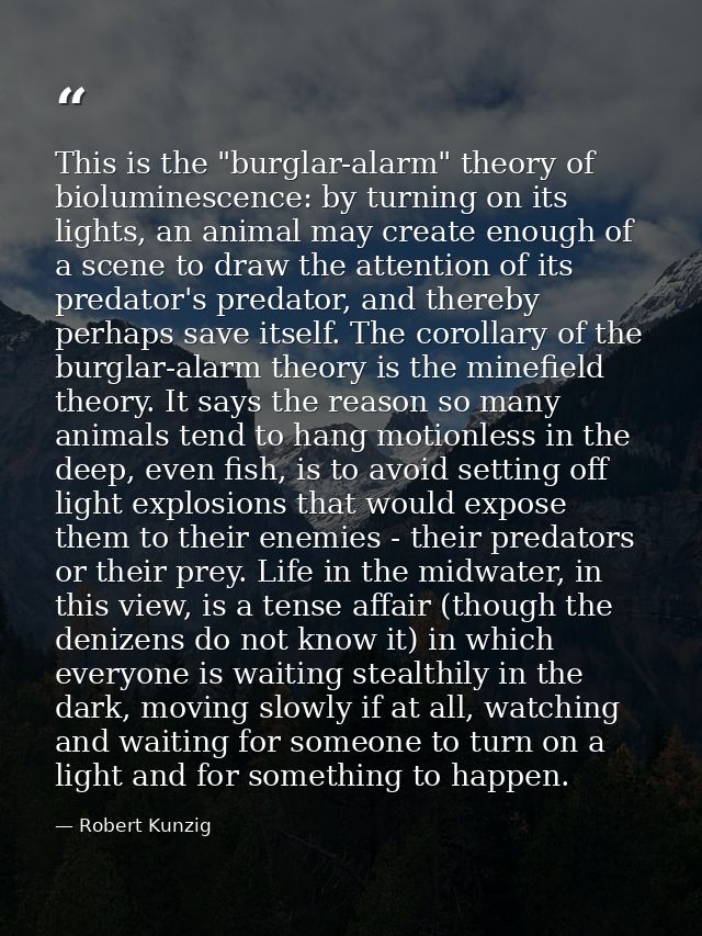This is the "burglar-alarm" theory of bioluminescence: by turning on its lights, an animal may create enough of a scene  — Robert Kunzig