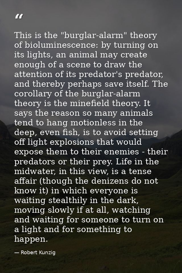 This is the "burglar-alarm" theory of bioluminescence: by turning on its lights, an animal may create enough of a scene  — Robert Kunzig