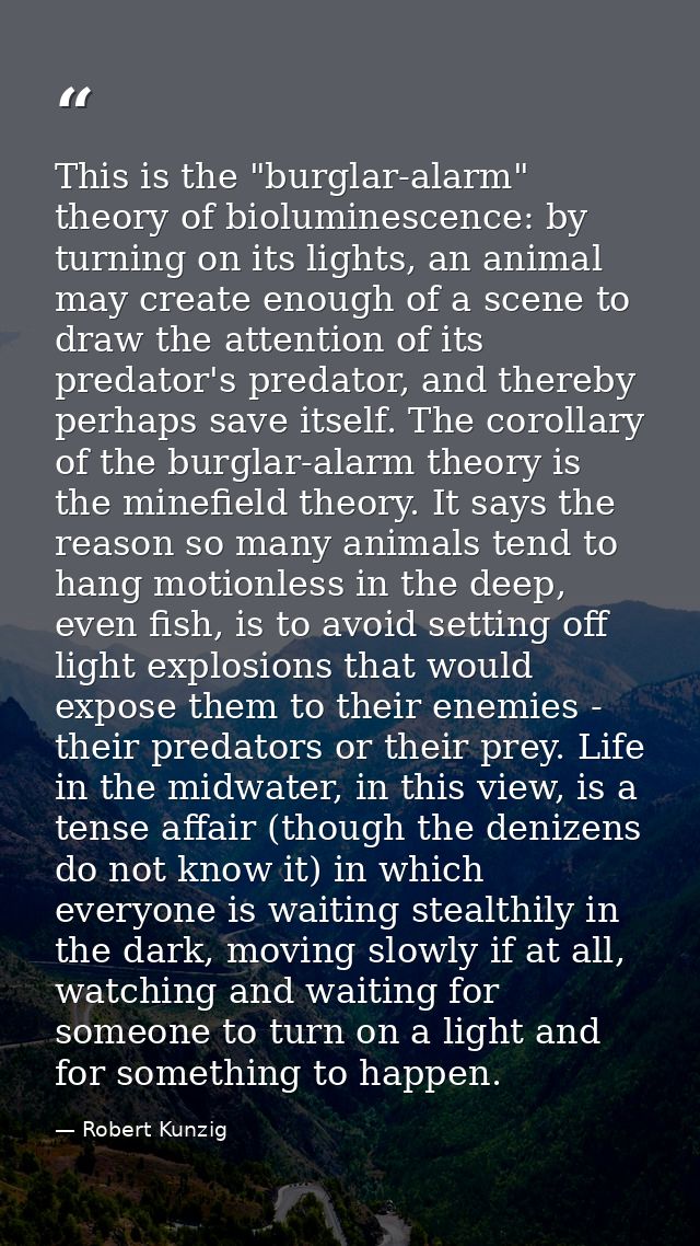 This is the "burglar-alarm" theory of bioluminescence: by turning on its lights, an animal may create enough of a scene  — Robert Kunzig