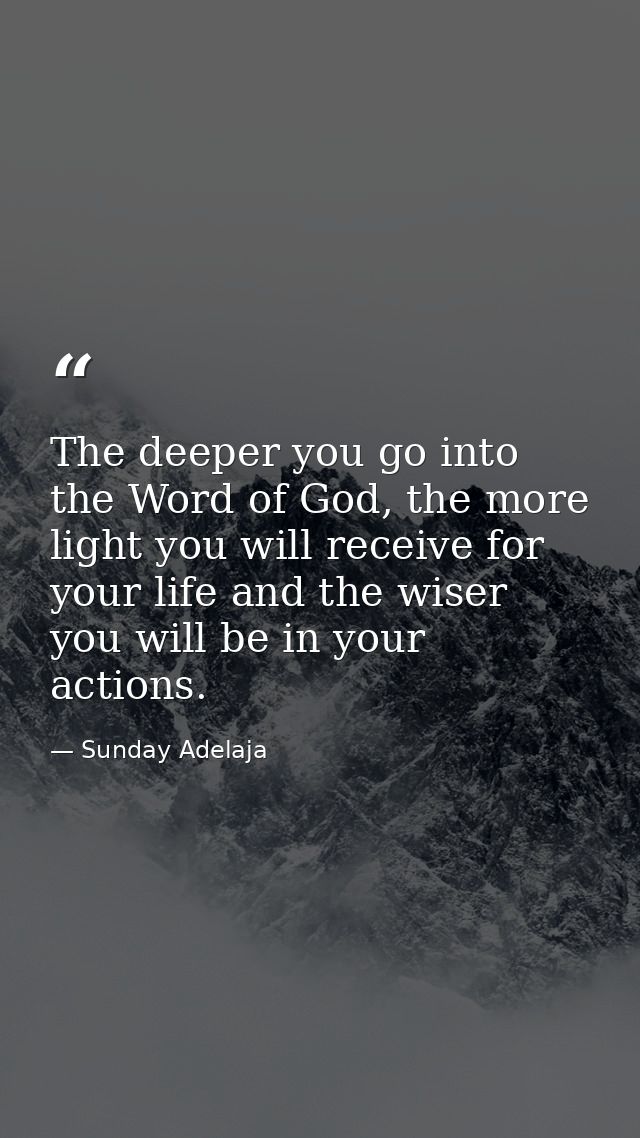 The deeper you go into the Word of God, the more light you will receive for your life and the wiser you will be in your  — Sunday Adelaja