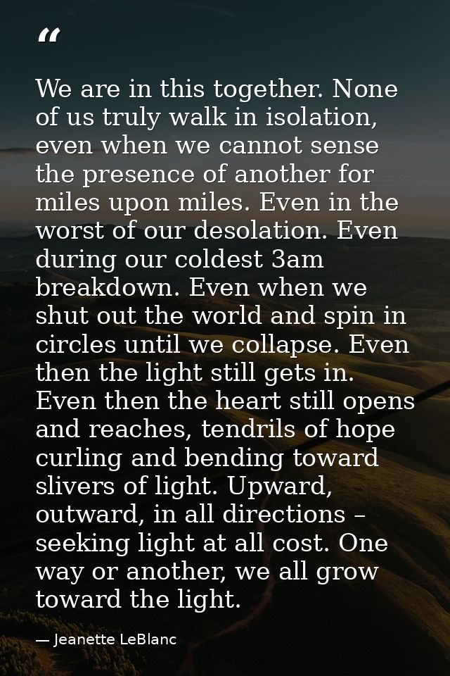 We are in this together. None of us truly walk in isolation, even when we cannot sense the presence of another for miles — Jeanette LeBlanc