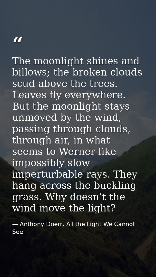 The moonlight shines and billows; the broken clouds scud above the trees. Leaves fly everywhere. But the moonlight stays — Anthony Doerr, All the Light We Cannot See