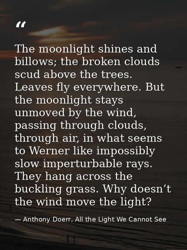 The moonlight shines and billows; the broken clouds scud above the trees. Leaves fly everywhere. But the moonlight stays — Anthony Doerr, All the Light We Cannot See