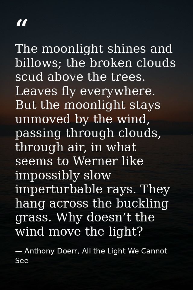 The moonlight shines and billows; the broken clouds scud above the trees. Leaves fly everywhere. But the moonlight stays — Anthony Doerr, All the Light We Cannot See