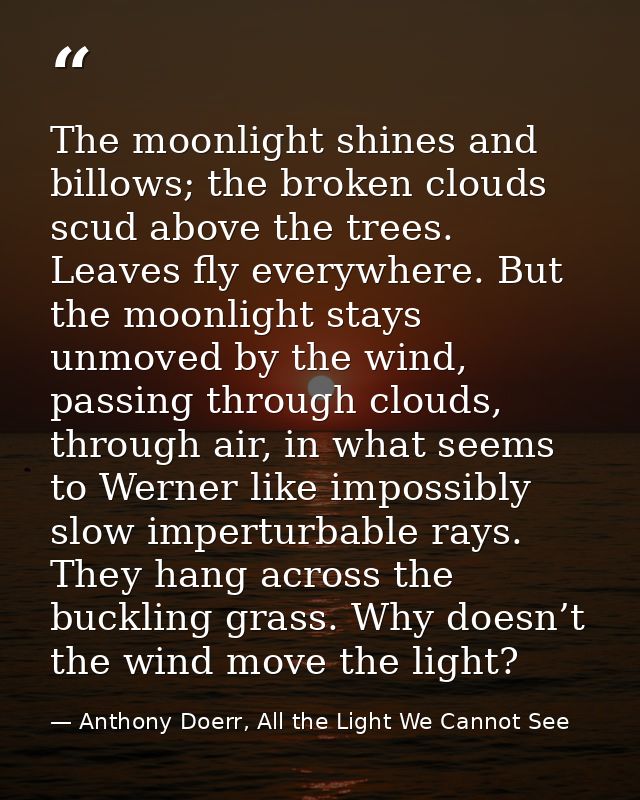The moonlight shines and billows; the broken clouds scud above the trees. Leaves fly everywhere. But the moonlight stays — Anthony Doerr, All the Light We Cannot See