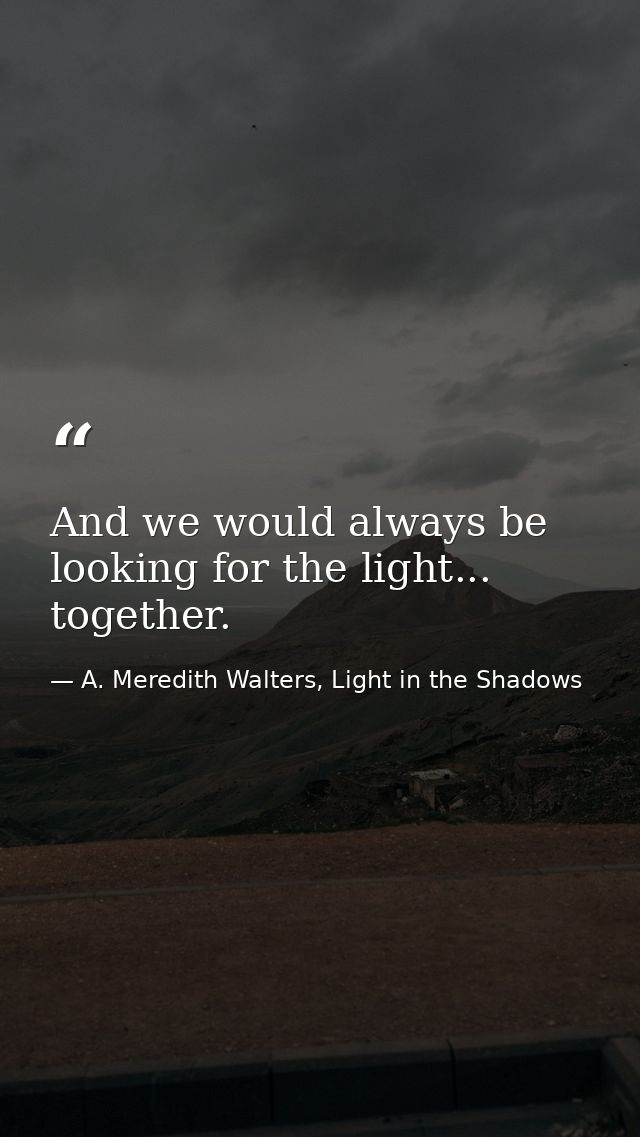 And we would always be looking for the light... together. — A. Meredith Walters, Light in the Shadows