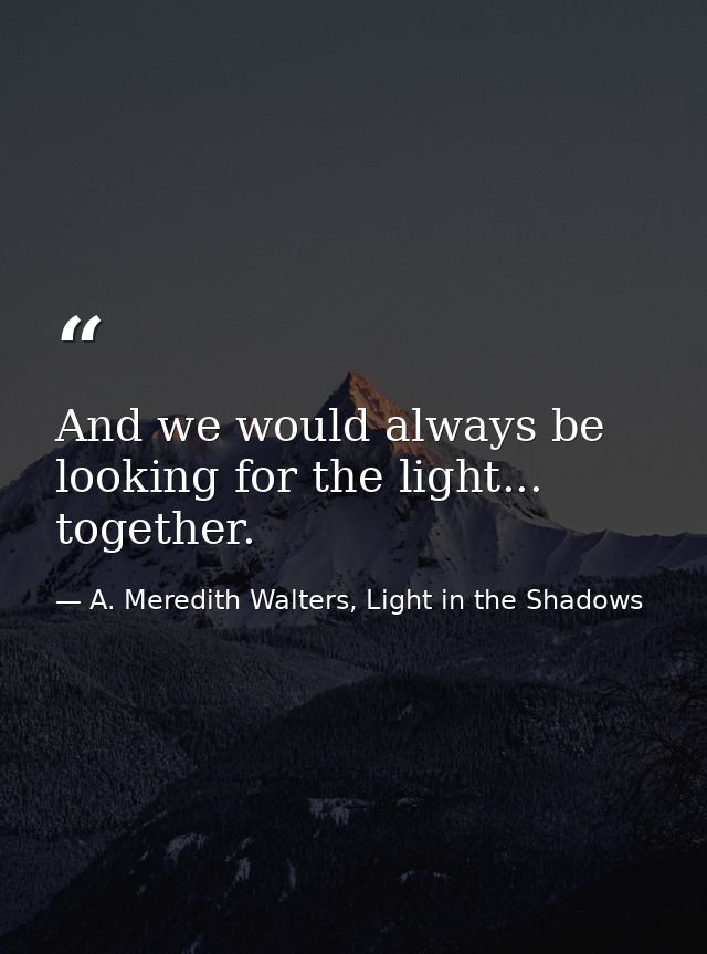 And we would always be looking for the light... together. — A. Meredith Walters, Light in the Shadows