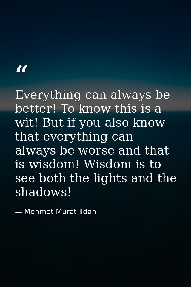 Everything can always be better! To know this is a wit! But if you also know that everything can always be worse and tha — Mehmet Murat ildan