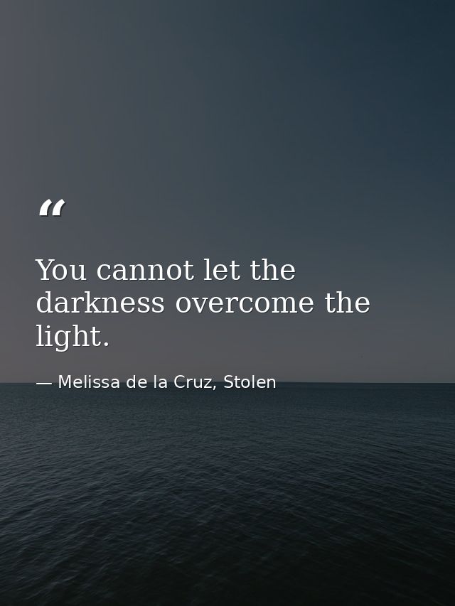 You cannot let the darkness overcome the light. — Melissa de la Cruz, Stolen