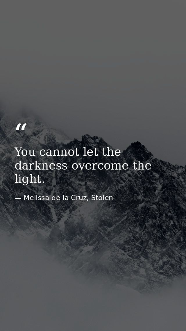 You cannot let the darkness overcome the light. — Melissa de la Cruz, Stolen