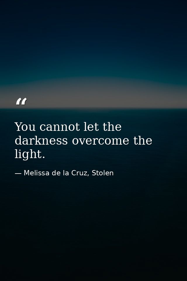 You cannot let the darkness overcome the light. — Melissa de la Cruz, Stolen
