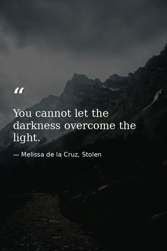You cannot let the darkness overcome the light. — Melissa de la Cruz, Stolen