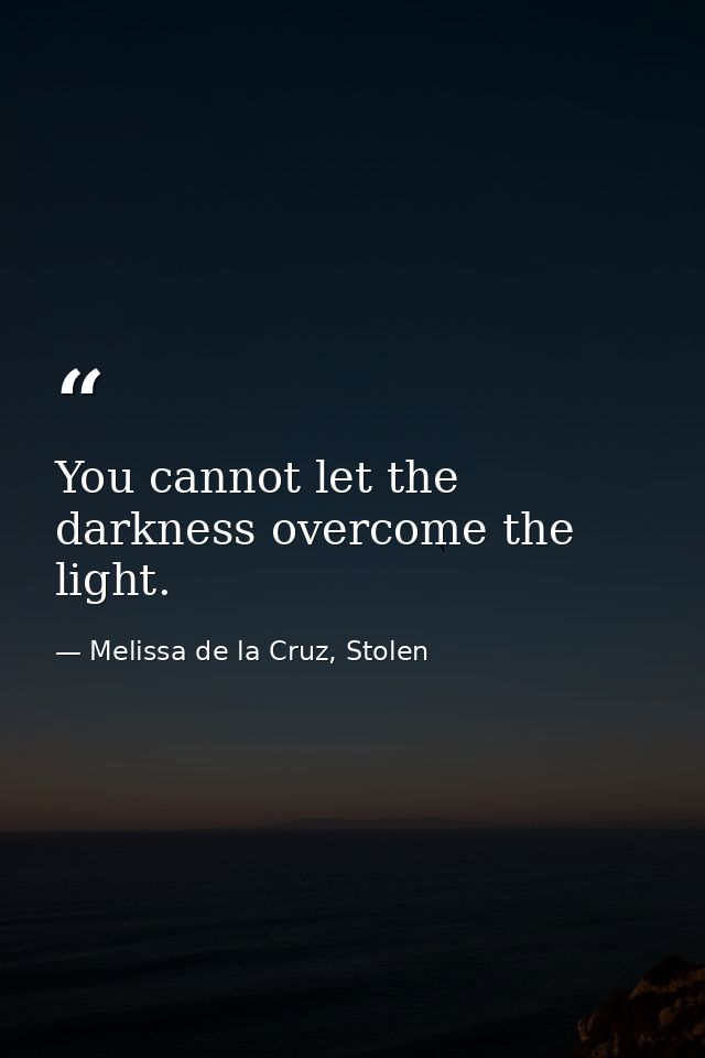 You cannot let the darkness overcome the light. — Melissa de la Cruz, Stolen