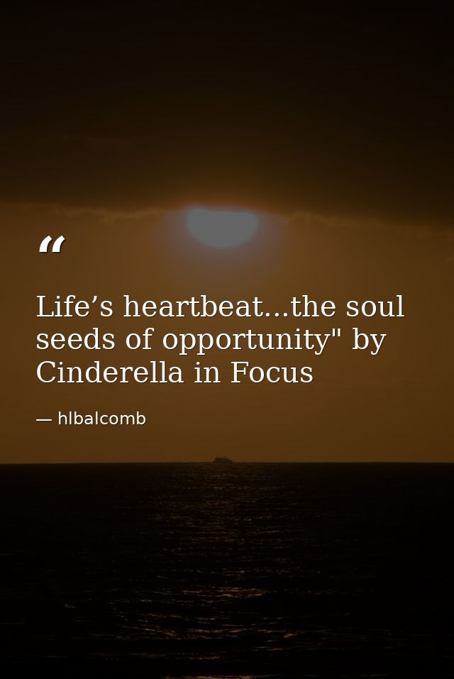 Life’s heartbeat...the soul seeds of opportunity" by Cinderella in Focus — hlbalcomb