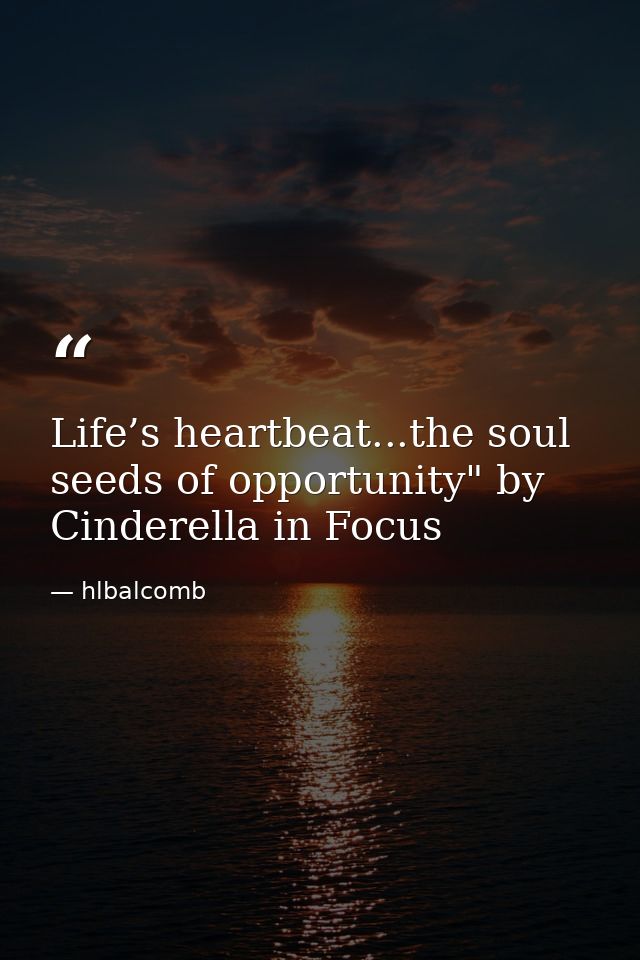 Life’s heartbeat...the soul seeds of opportunity" by Cinderella in Focus — hlbalcomb