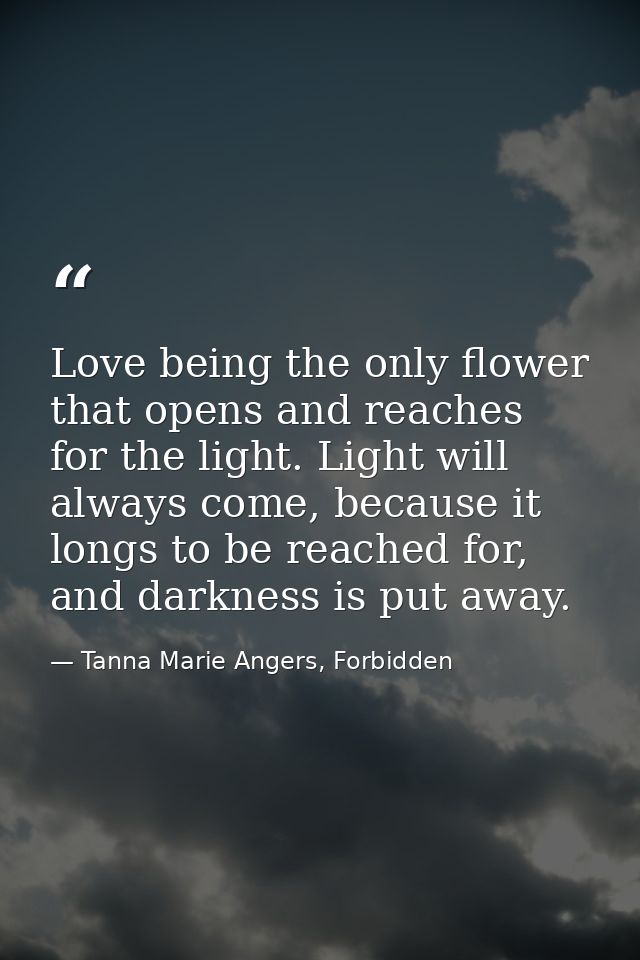 Love being the only flower that opens and reaches for the light. Light will always come, because it longs to be reached  — Tanna Marie Angers, Forbidden