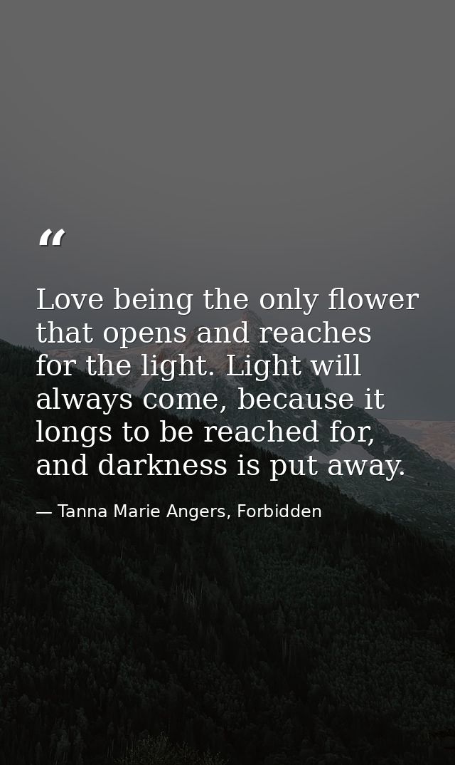 Love being the only flower that opens and reaches for the light. Light will always come, because it longs to be reached  — Tanna Marie Angers, Forbidden
