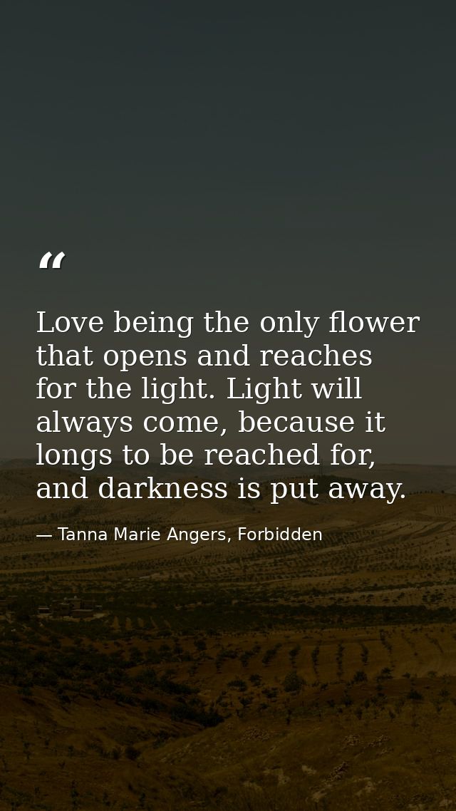 Love being the only flower that opens and reaches for the light. Light will always come, because it longs to be reached  — Tanna Marie Angers, Forbidden