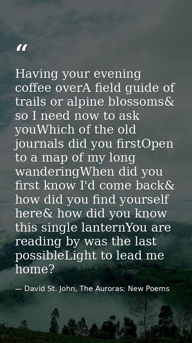 Having your evening coffee overA field guide of trails or alpine blossoms& so I need now to ask youWhich of the old jour — David St. John, The Auroras: New Poems