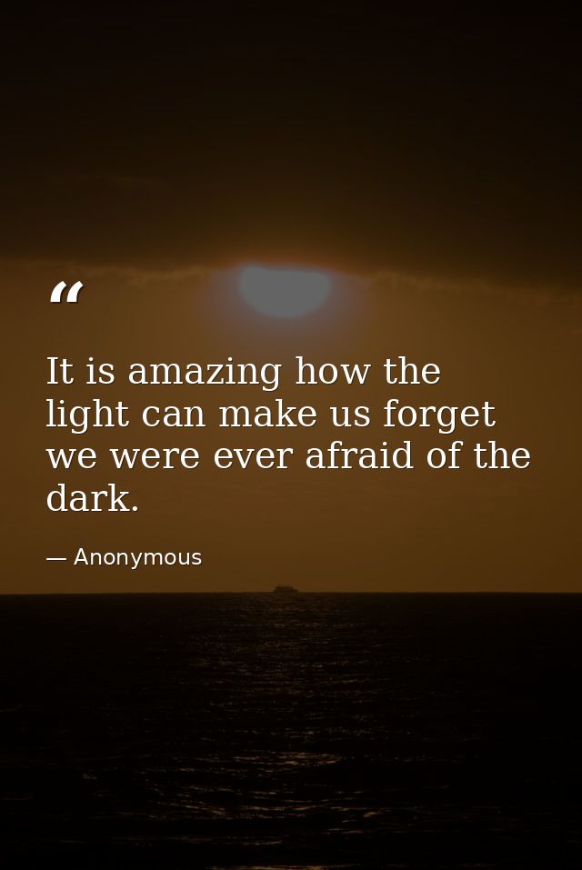 It is amazing how the light can make us forget we were ever afraid of the dark. — Anonymous