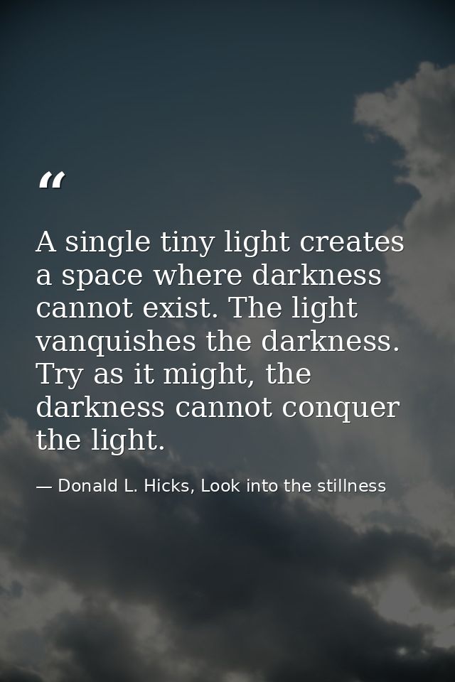 A single tiny light creates a space where darkness cannot exist. The light vanquishes the darkness. Try as it might, the — Donald L. Hicks, Look into the stillness