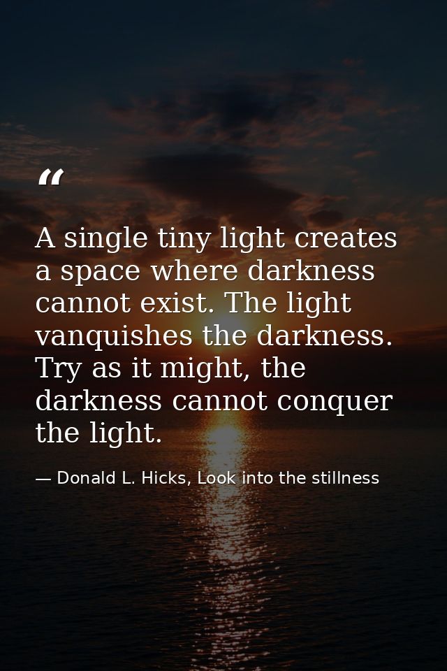 A single tiny light creates a space where darkness cannot exist. The light vanquishes the darkness. Try as it might, the — Donald L. Hicks, Look into the stillness
