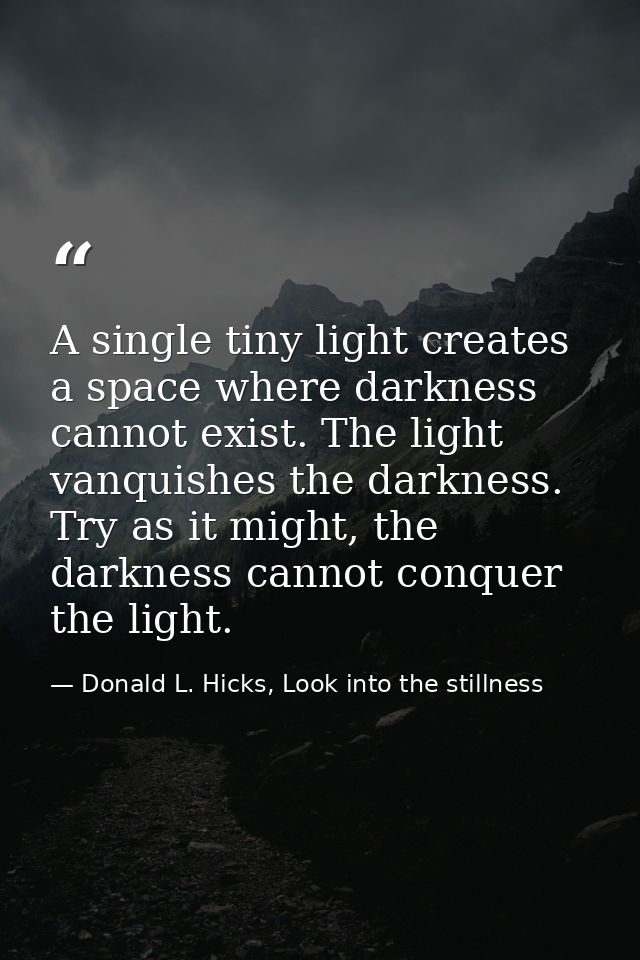 A single tiny light creates a space where darkness cannot exist. The light vanquishes the darkness. Try as it might, the — Donald L. Hicks, Look into the stillness