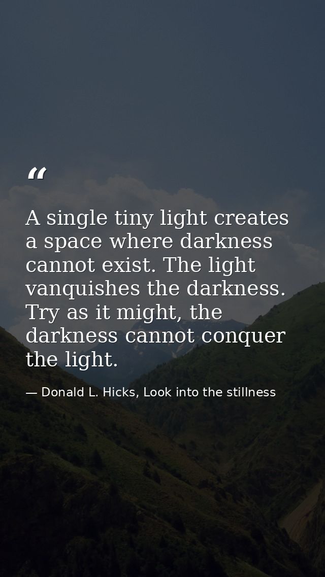 A single tiny light creates a space where darkness cannot exist. The light vanquishes the darkness. Try as it might, the — Donald L. Hicks, Look into the stillness
