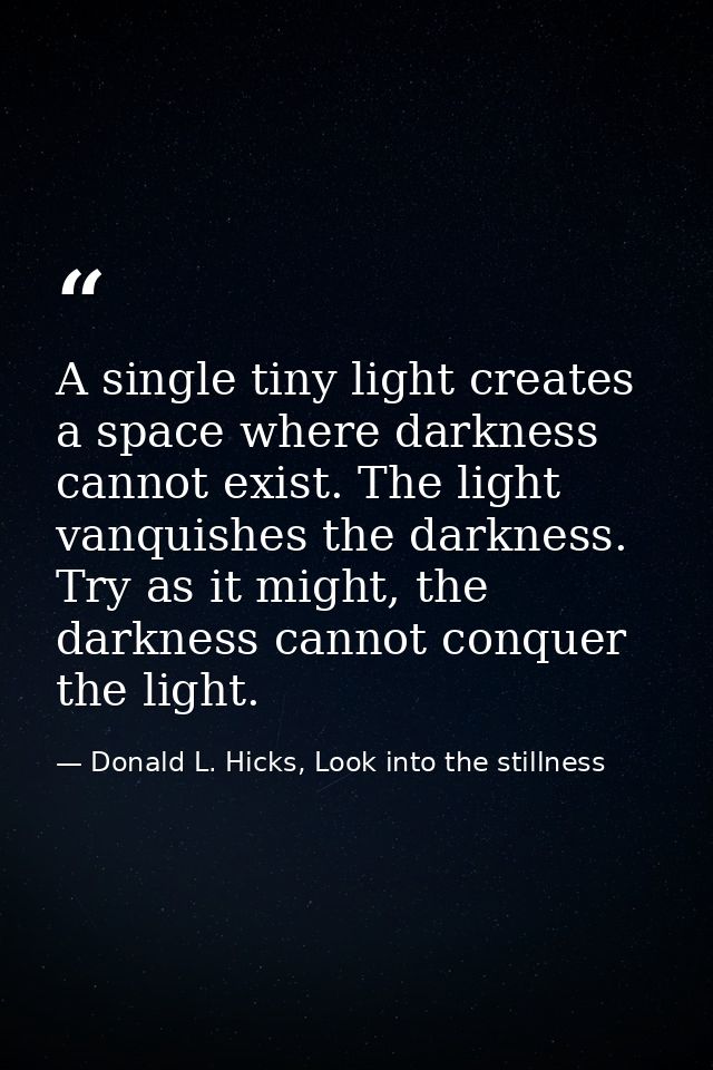 A single tiny light creates a space where darkness cannot exist. The light vanquishes the darkness. Try as it might, the — Donald L. Hicks, Look into the stillness
