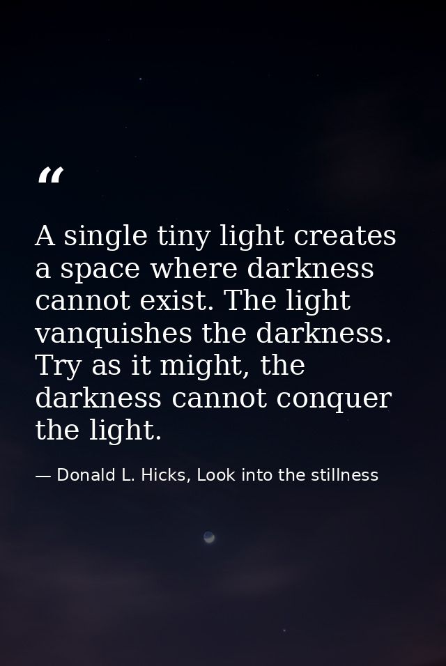 A single tiny light creates a space where darkness cannot exist. The light vanquishes the darkness. Try as it might, the — Donald L. Hicks, Look into the stillness
