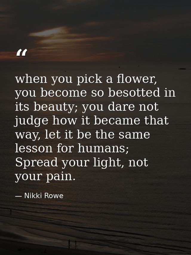 when you pick a flower, you become so besotted in its beauty; you dare not judge how it became that way, let it be the s — Nikki Rowe