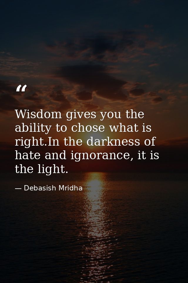 Wisdom gives you the ability to chose what is right.In the darkness of hate and ignorance, it is the light. — Debasish Mridha