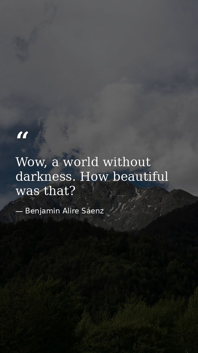 Wow, a world without darkness. How beautiful was that? — Benjamin Alire Sáenz